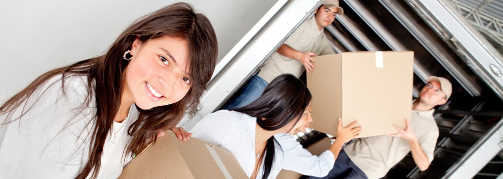 Professional Removalists Rugby